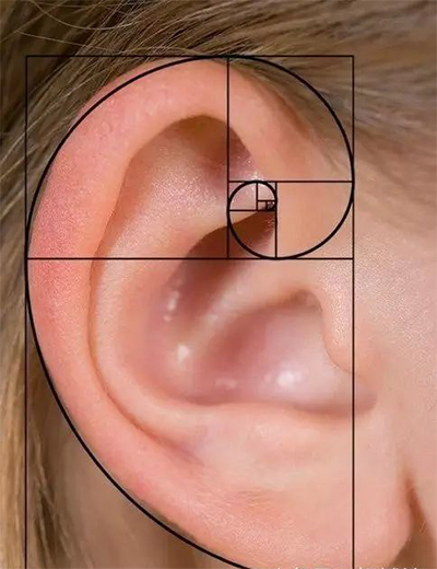 数学;支配;恐惧 数学;支配;恐惧