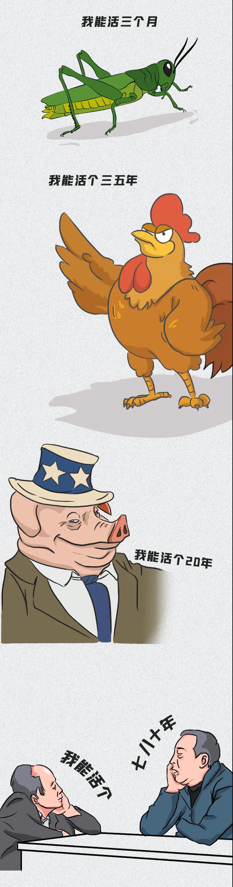 昆虫;乌龟;寿命;极限 昆虫;乌龟;寿命;极限
