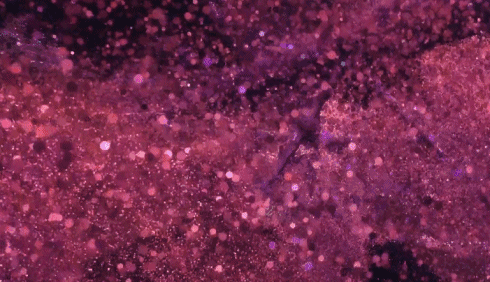 蚊子;世界;景象