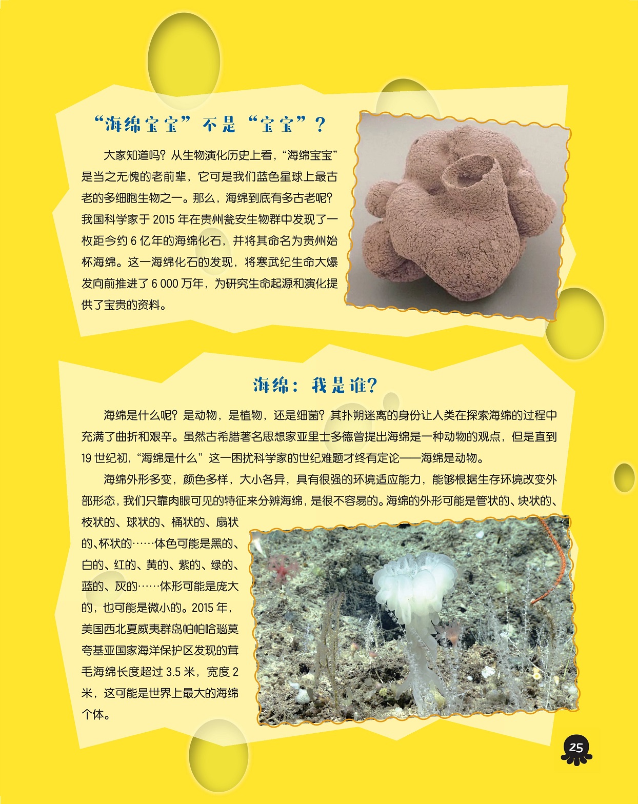 最古老的多细胞生物之一,研究生命起源和演化