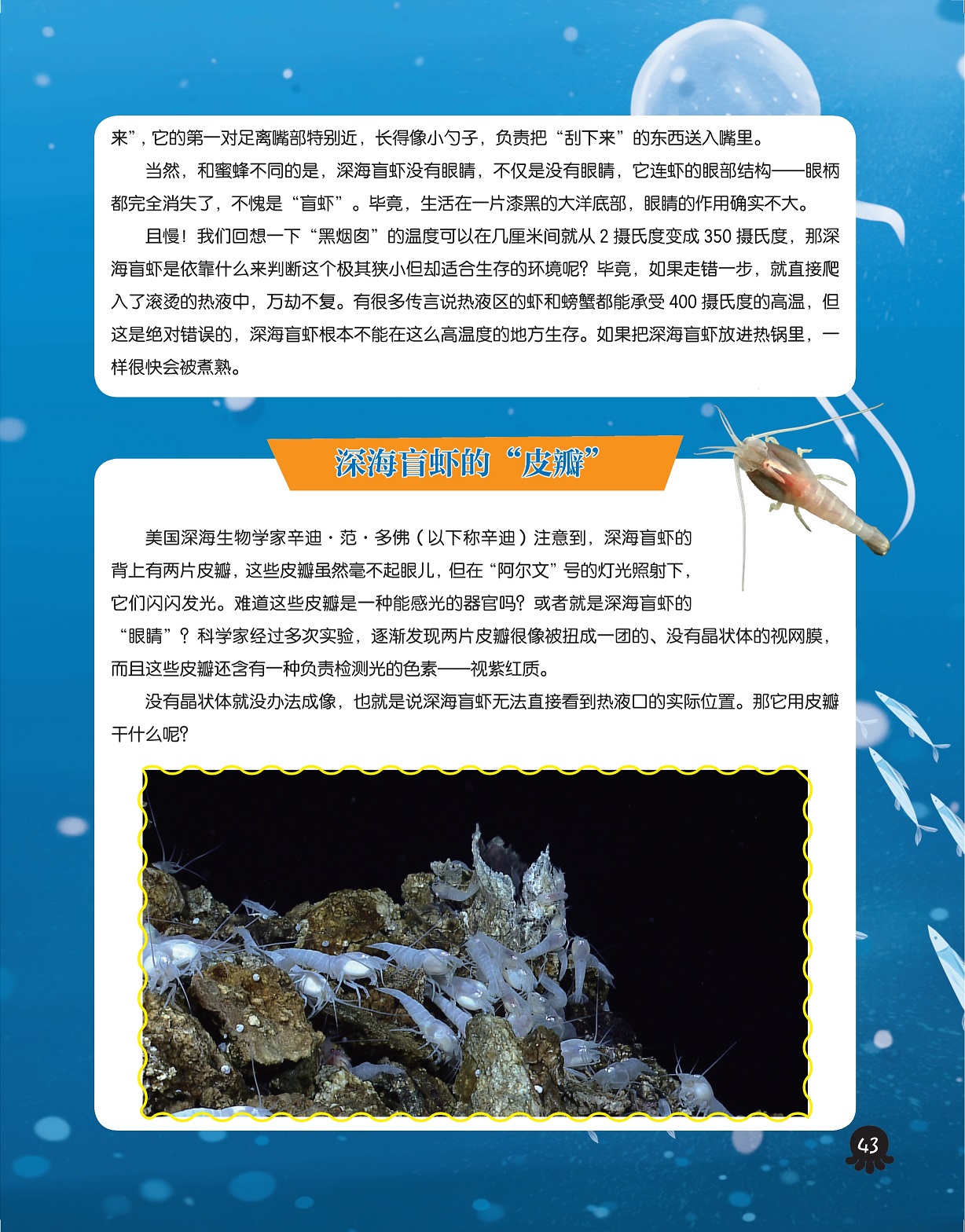 深海盲虾没有眼睛,深海盲虾的“皮瓣”