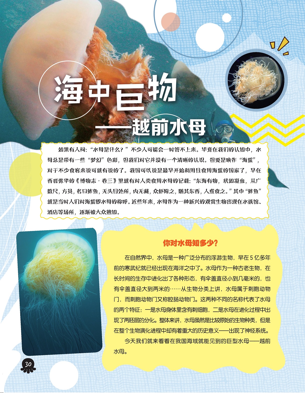 你对水母知多少,广泛分布的浮游生物