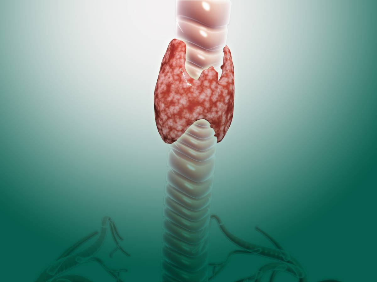 甲状腺