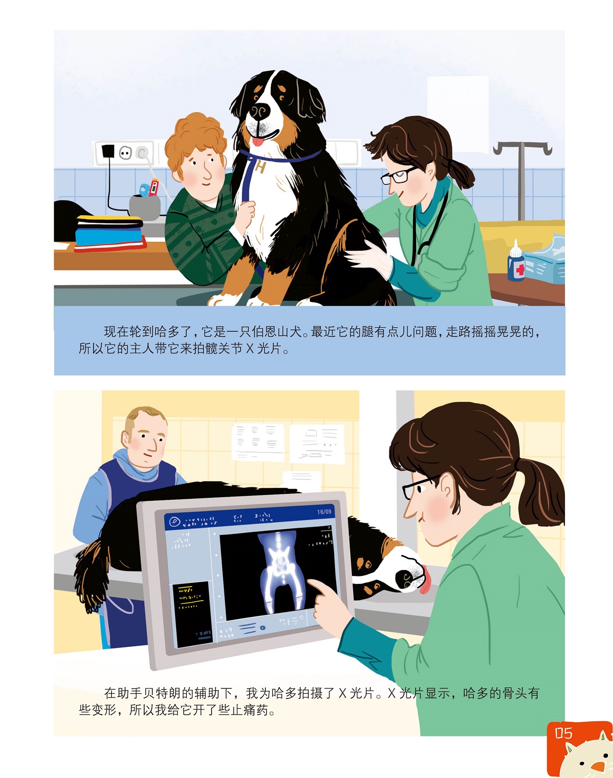 狗狗拍摄X光片,开止痛药给狗狗