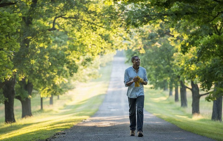 散步作为一种全身性的运动,可将全身大部分肌肉骨骼动员起来,从而使