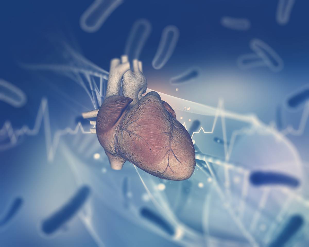 CSI AP 2019 | Live Case：张智伟教授团队成功演示一例挑战性先天性心脏病房间隔缺损介入治疗手术 -- 严道医声网