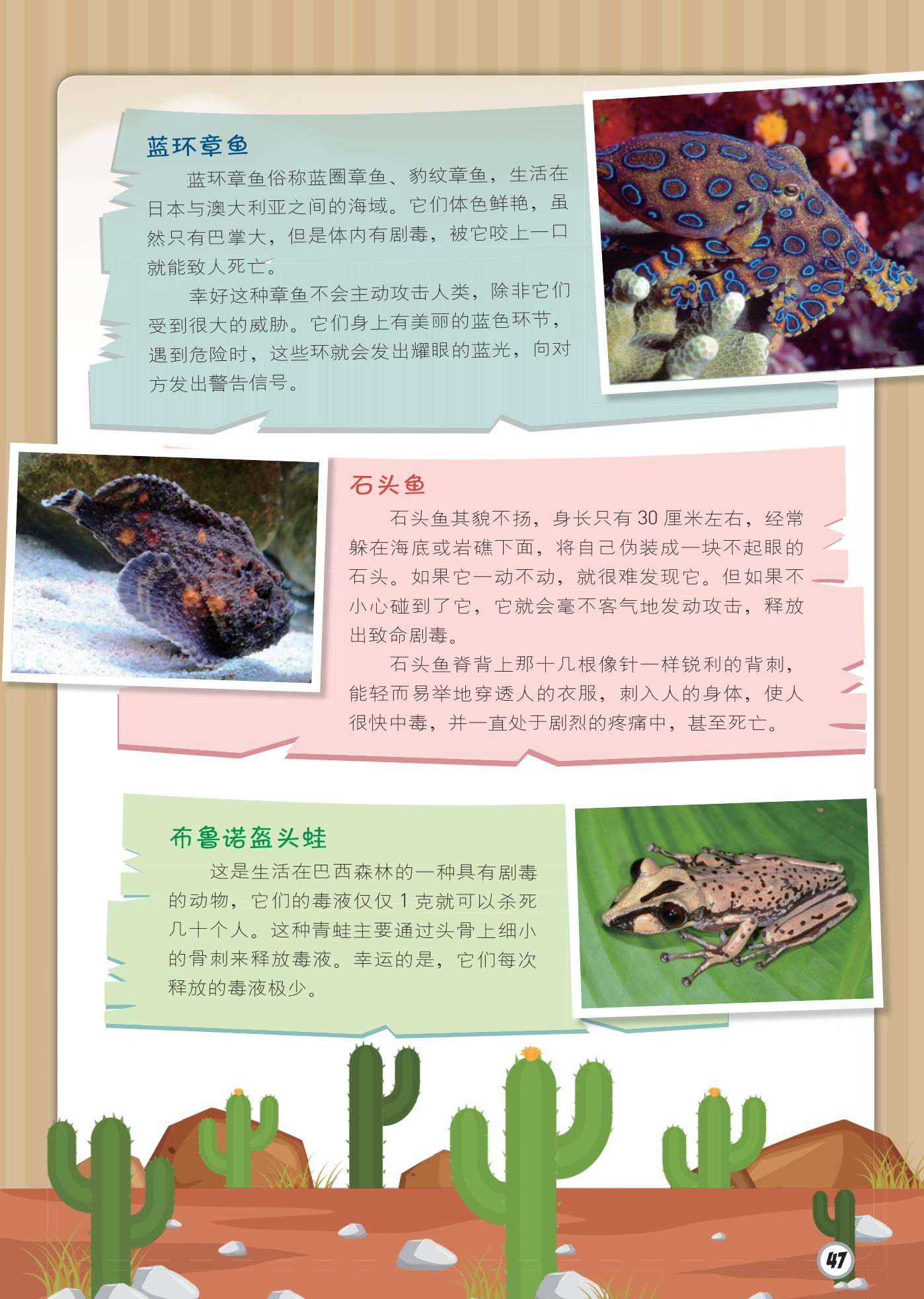 蓝环章鱼,石头鱼,布鲁诺盔头蛙