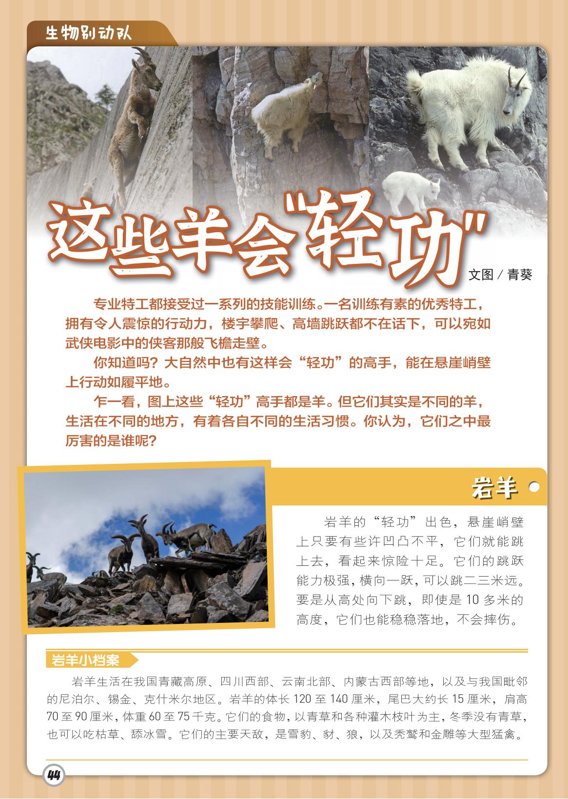 岩羊,高手,跳跃能力 岩羊,高手,跳跃能力