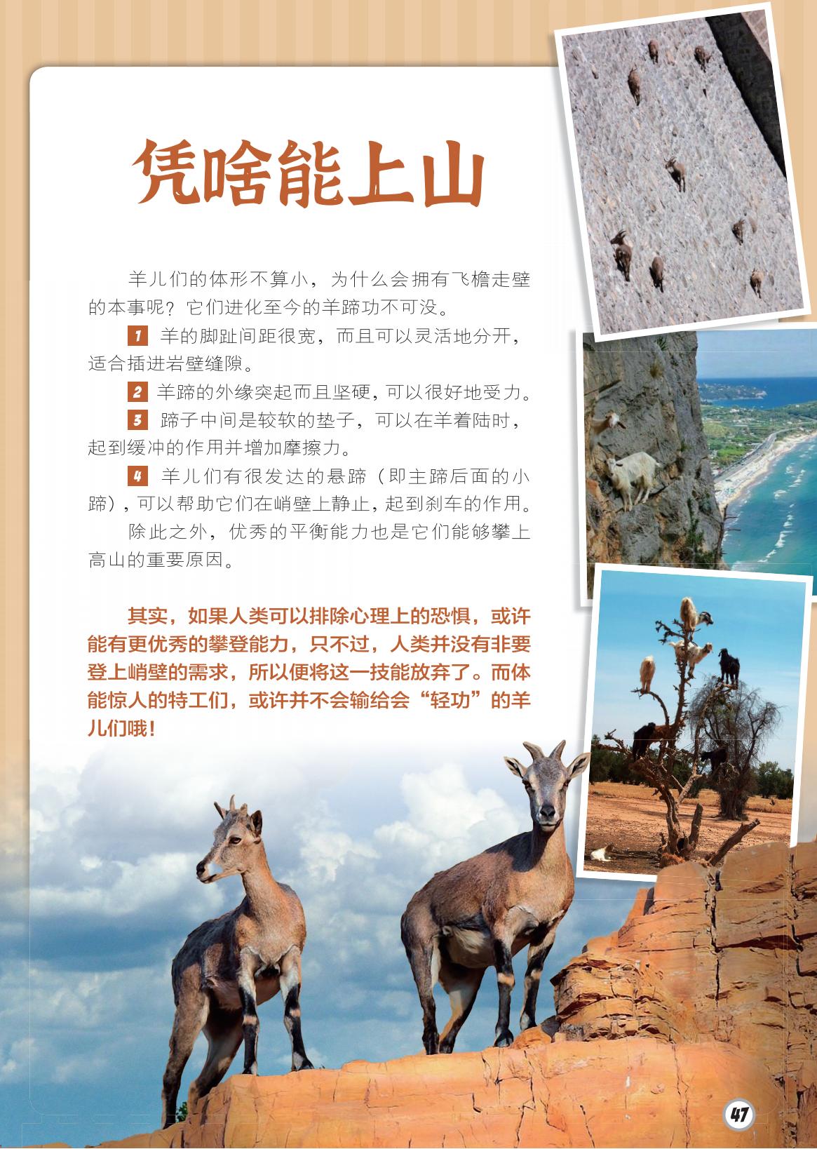 上山,羊蹄,攀登 上山,羊蹄,攀登