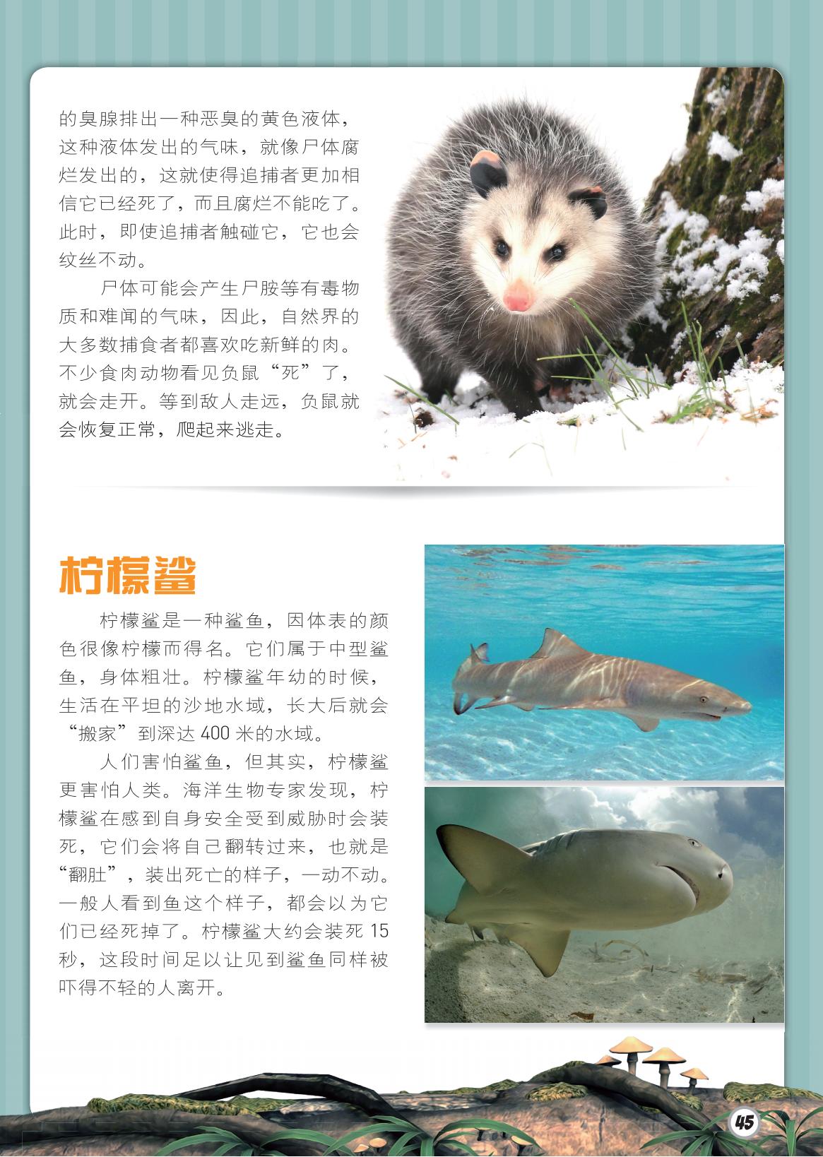 柠檬鲨,搬家,翻肚