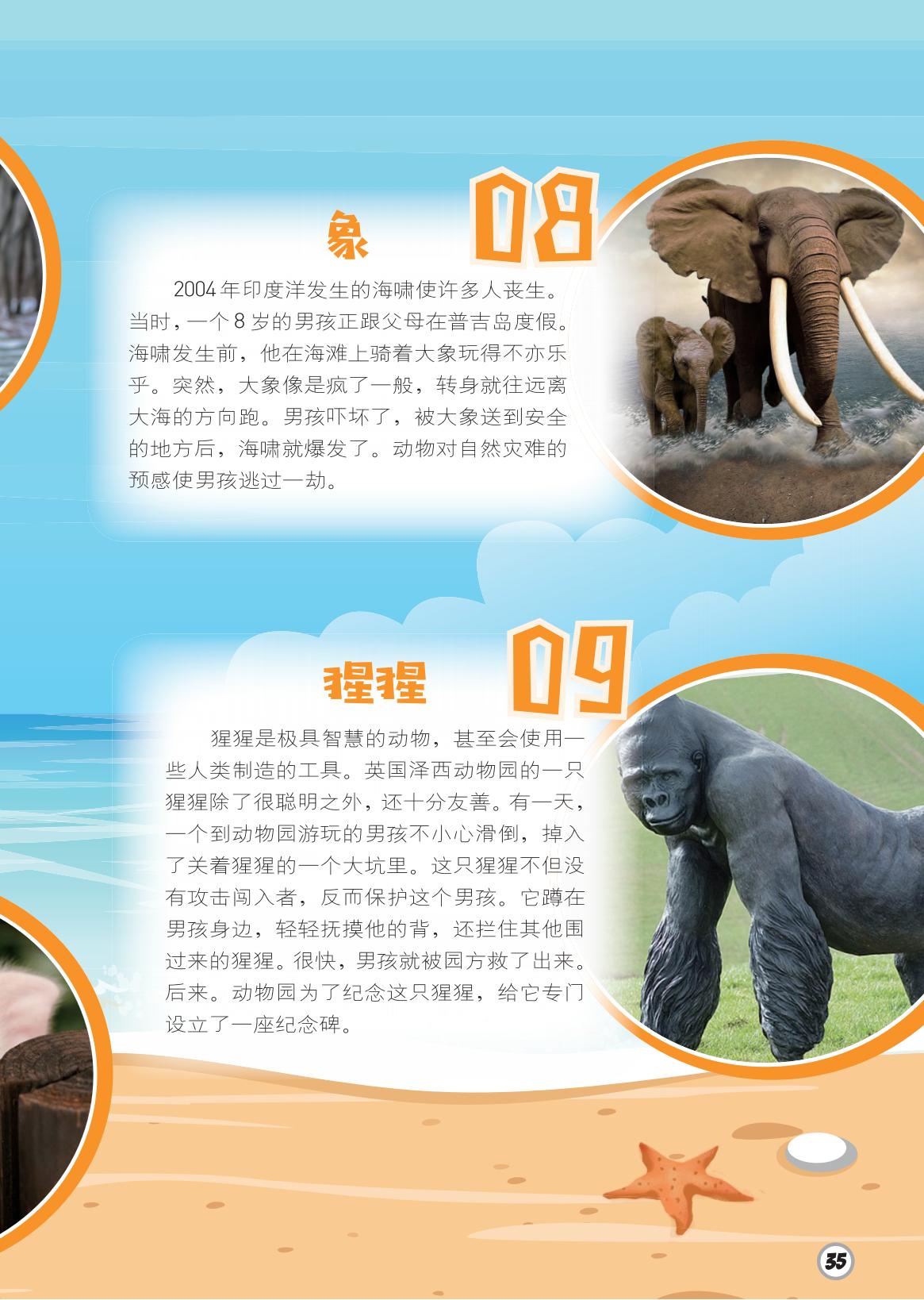 象,猩猩,海啸,智慧