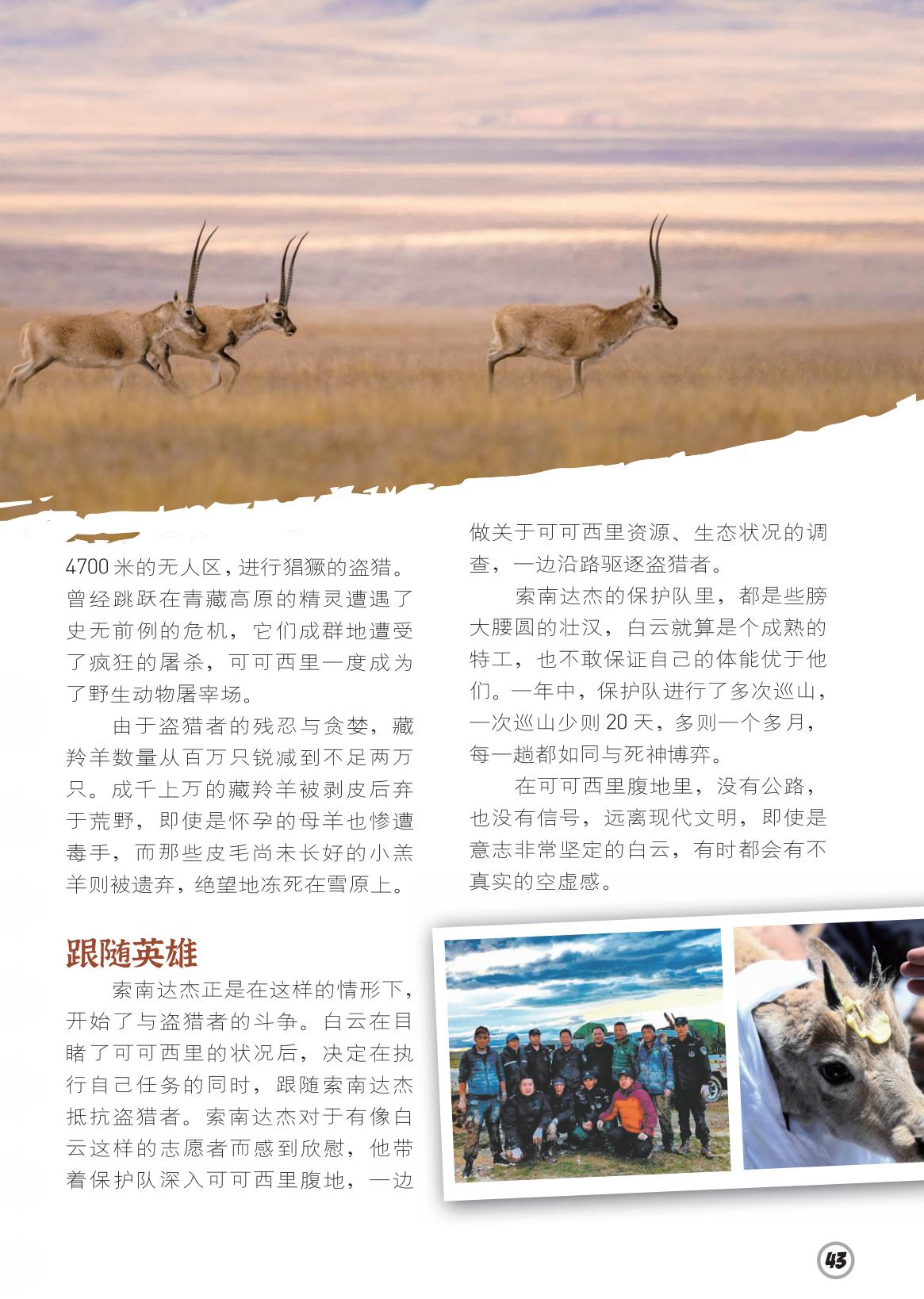 野生动物屠宰场,欣慰,驱逐 野生动物屠宰场,欣慰,驱逐