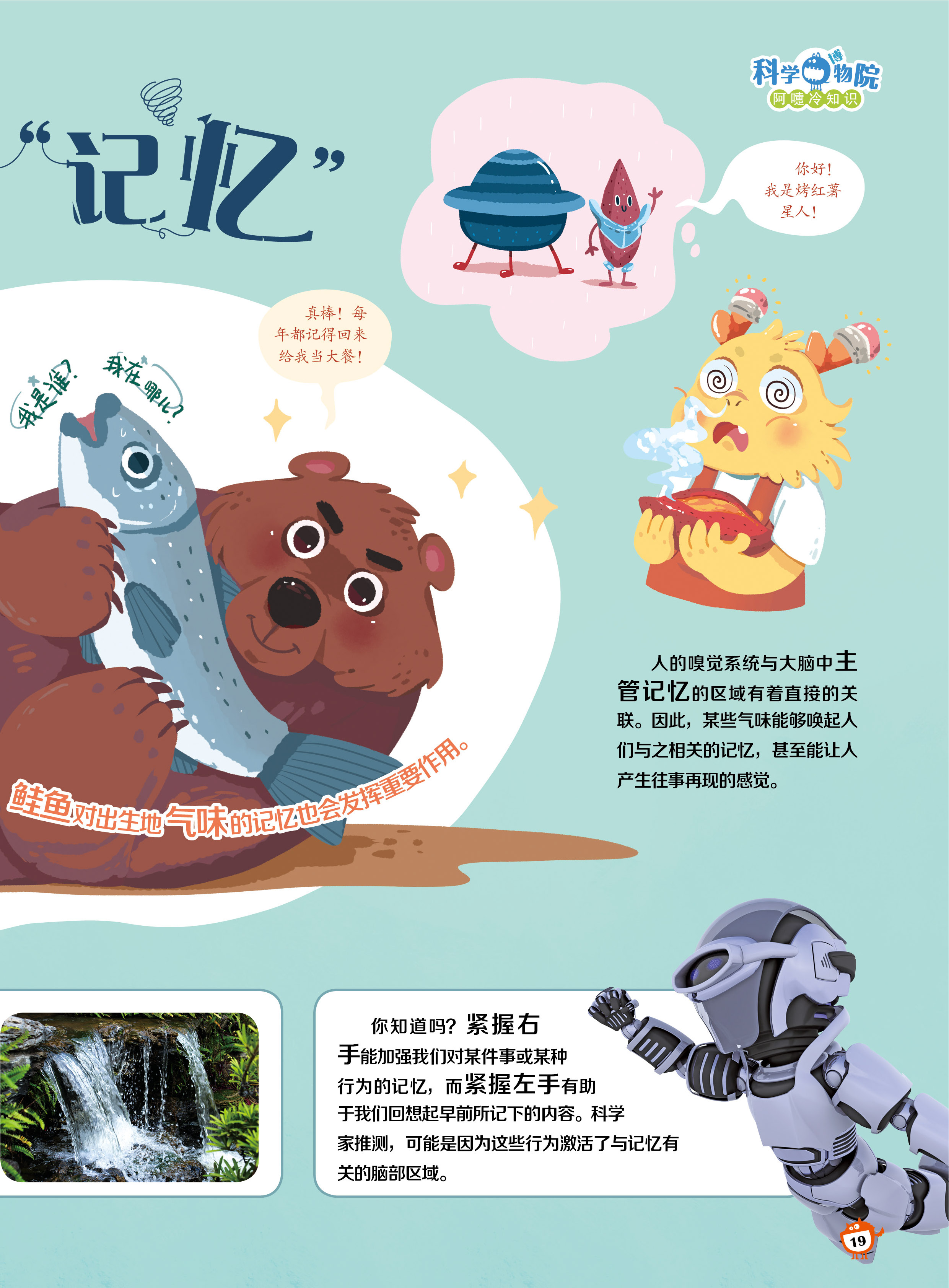 嗅觉系统,主管记忆,脑部区域 嗅觉系统,主管记忆,脑部区域