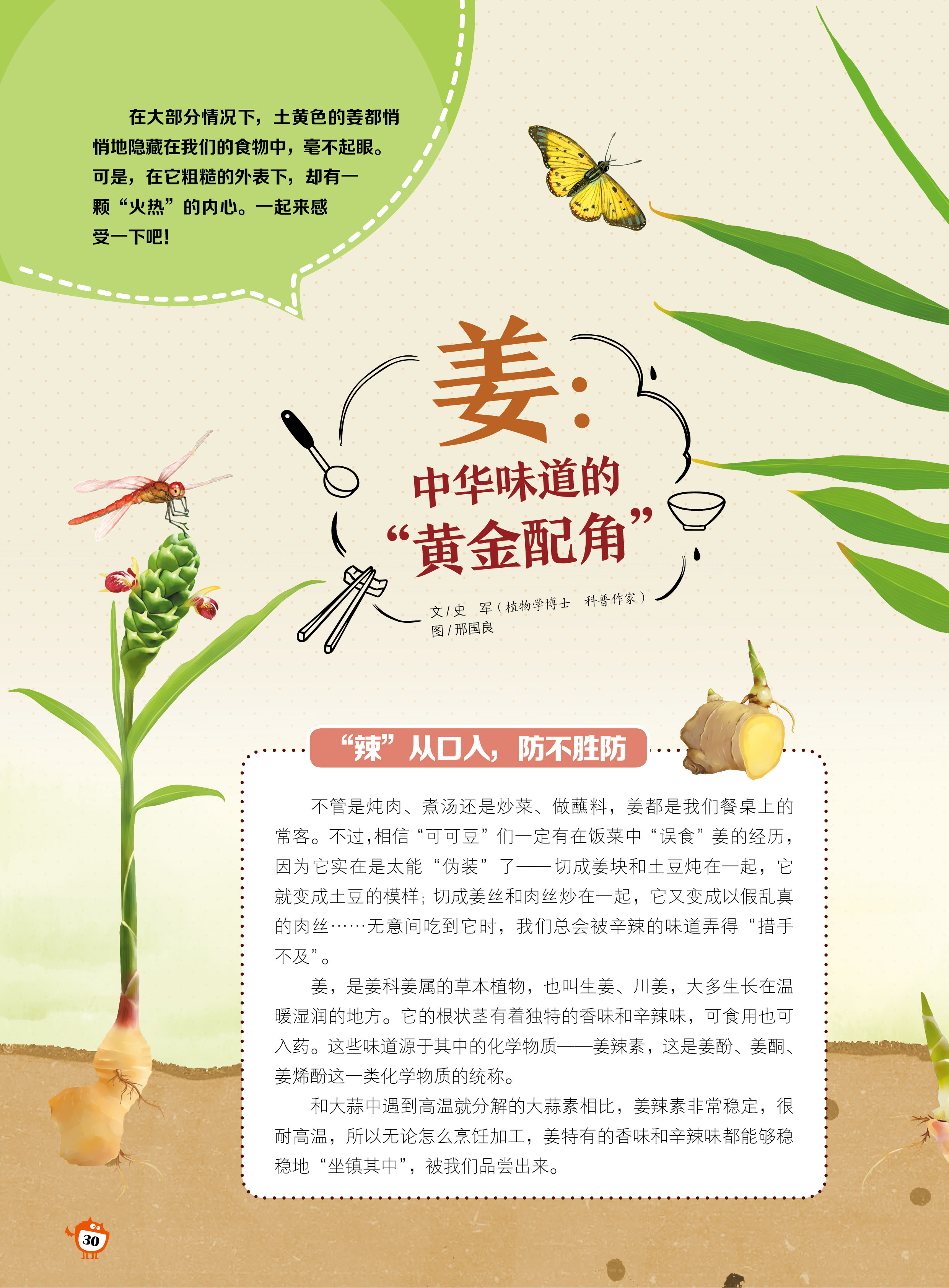姜,中华味道,黄金配角 姜,中华味道,黄金配角
