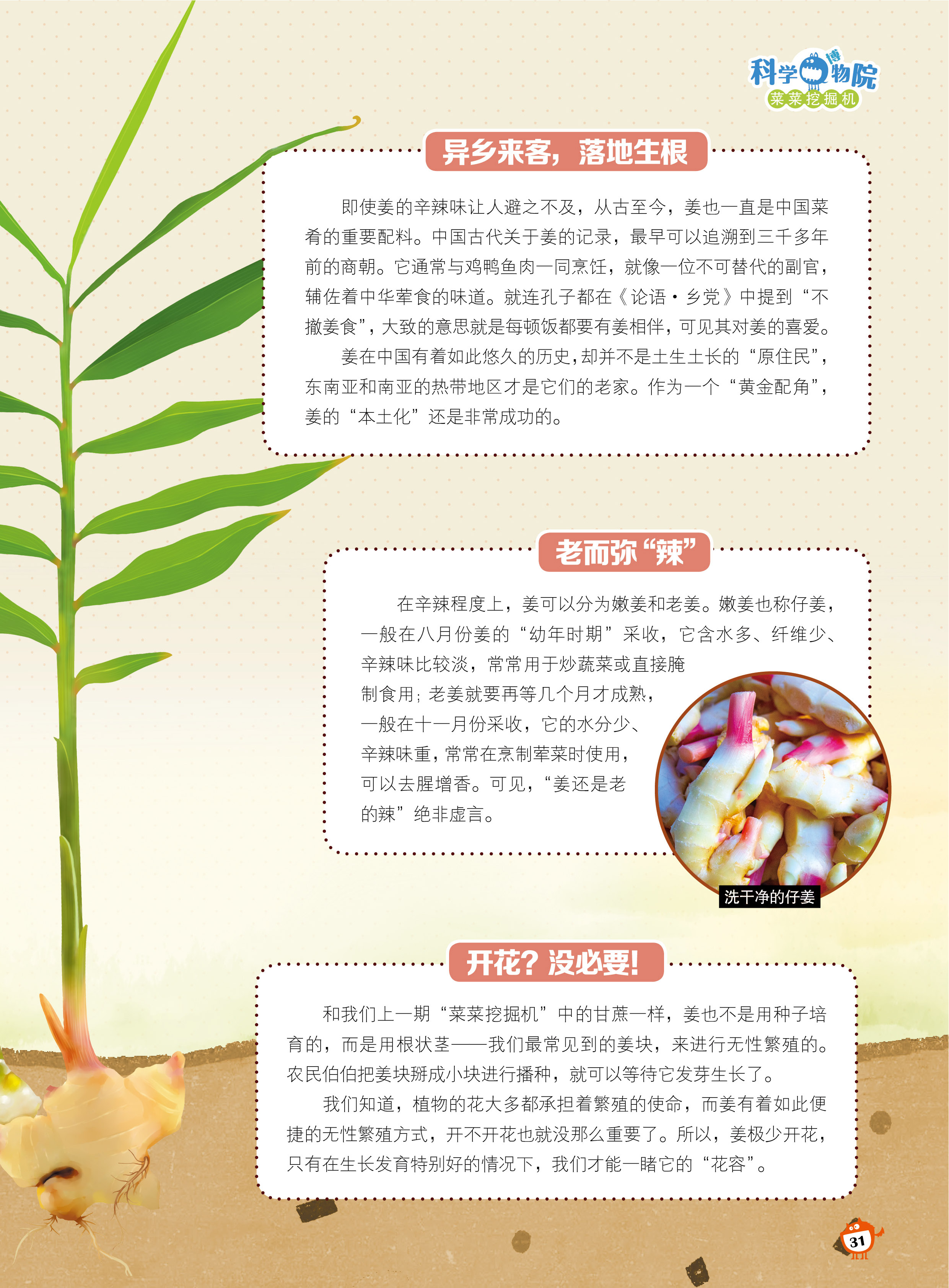 异乡来客,落地生根,开花 异乡来客,落地生根,开花
