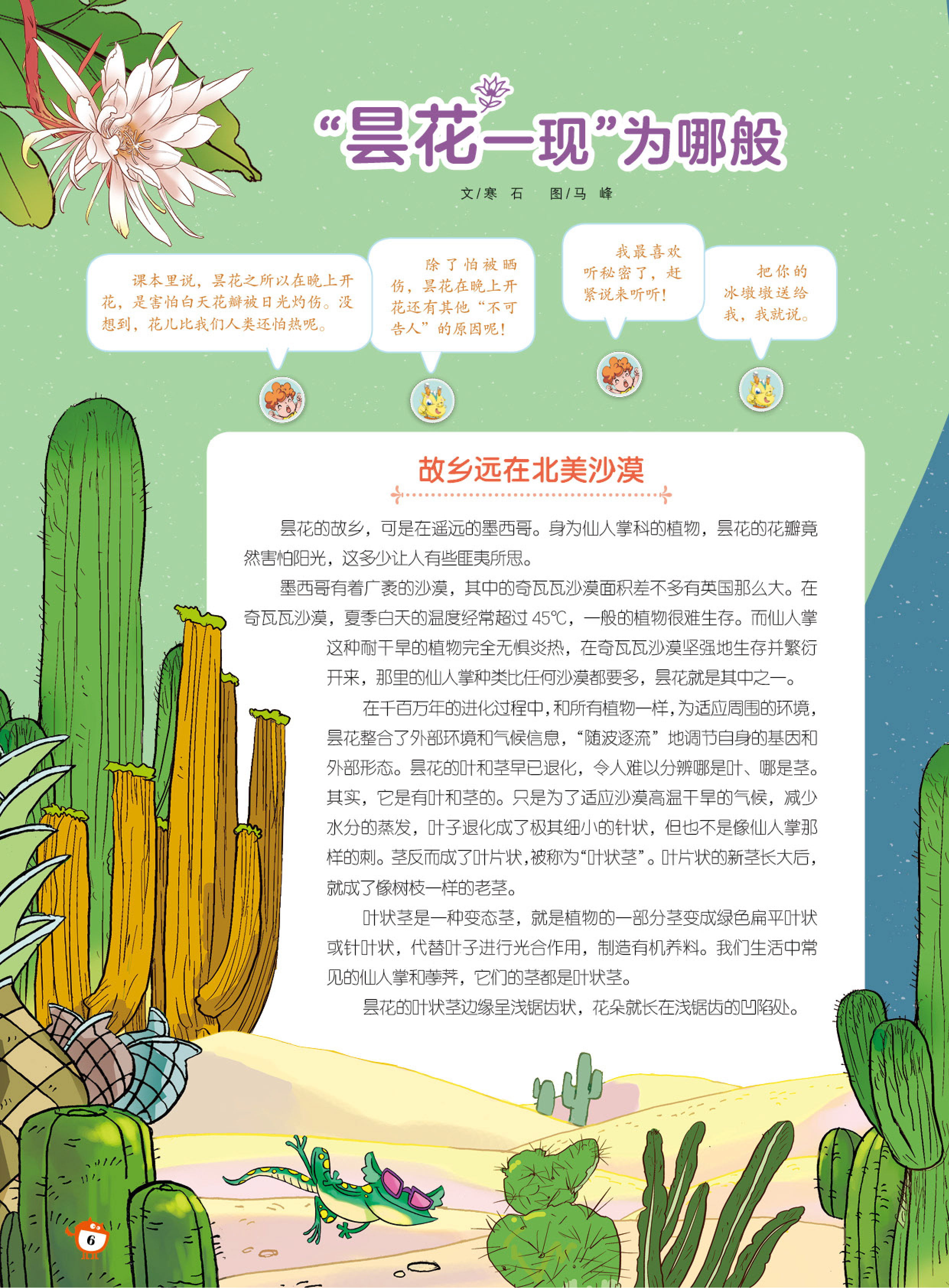 昙花,故乡,北美沙漠,花朵
