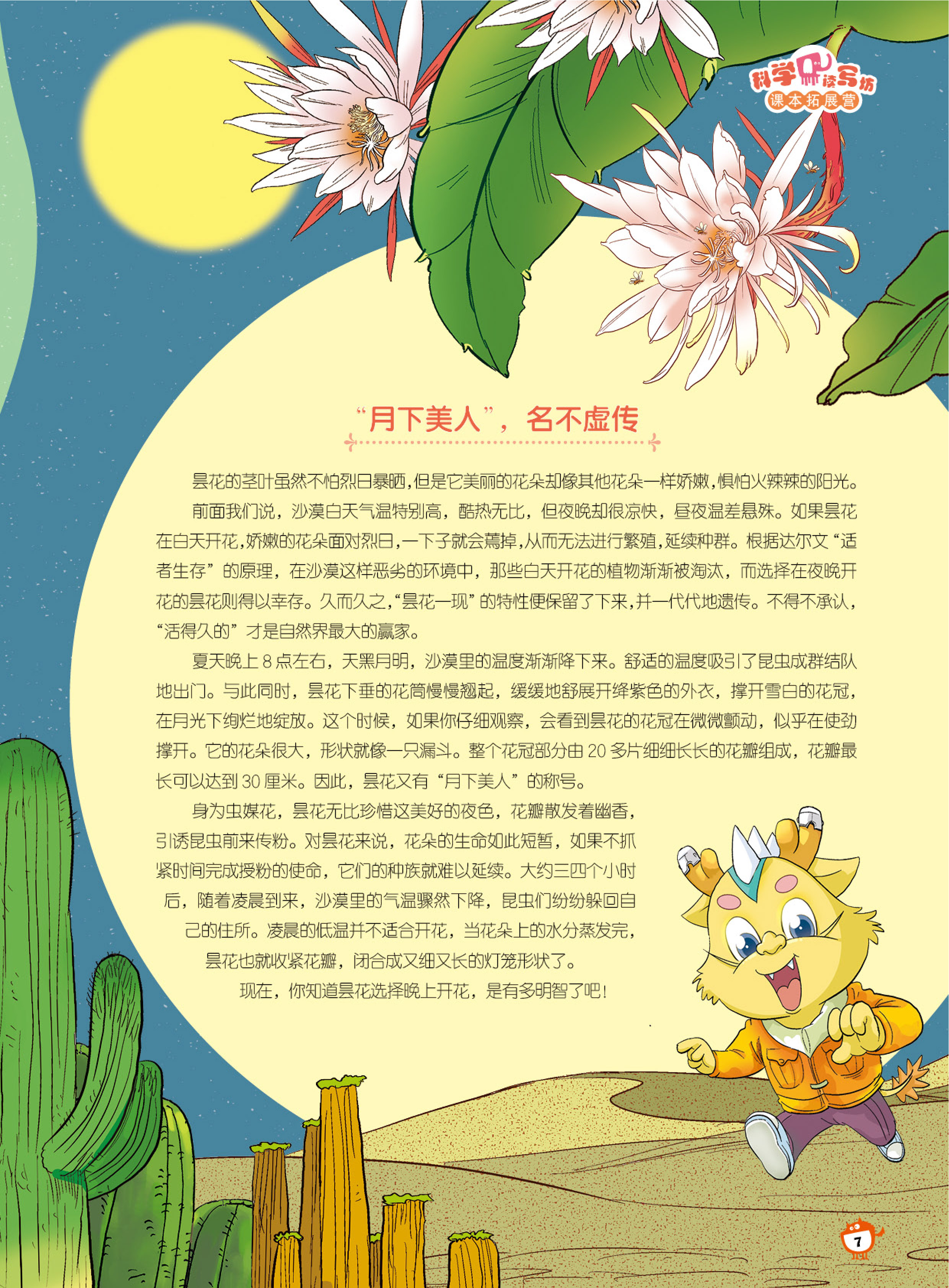 月下美人,茎叶,名不虚传