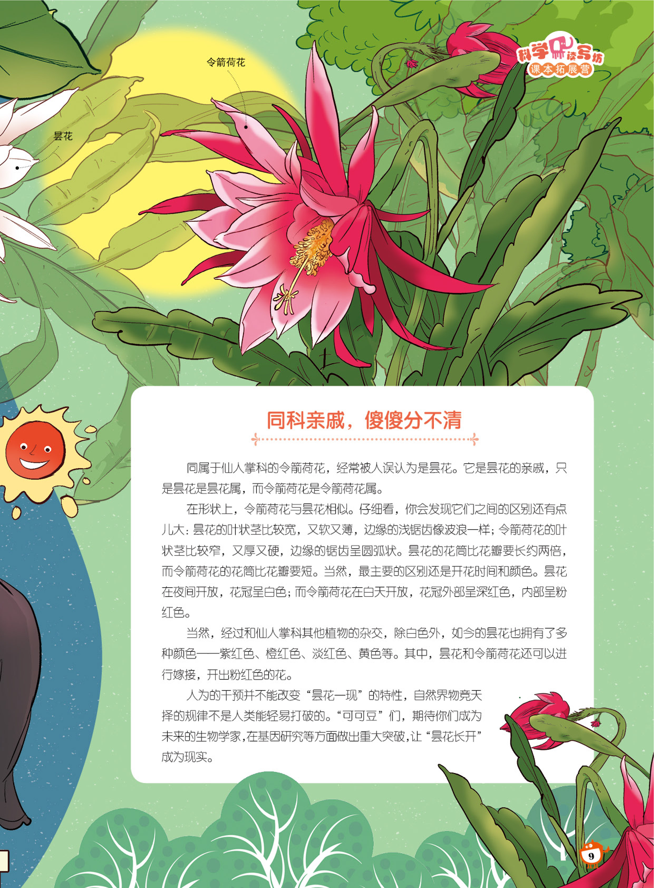 仙人掌科,昙花一现