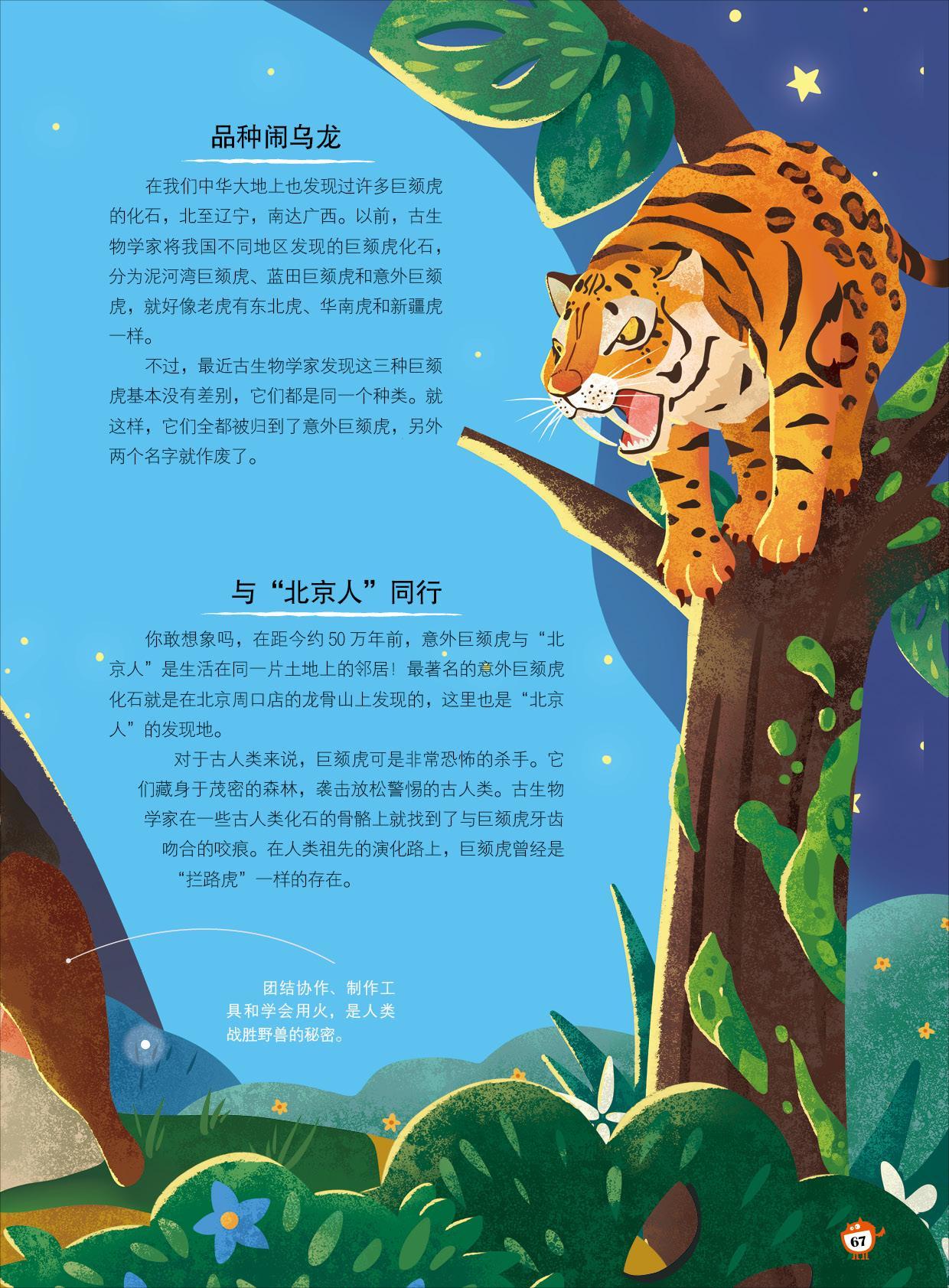 闹乌龙,北京人,森林 闹乌龙,北京人,森林