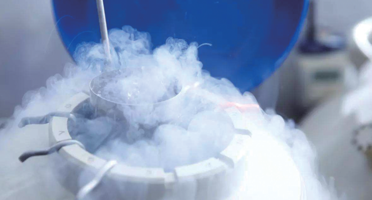 冷冻器官 没那么简单