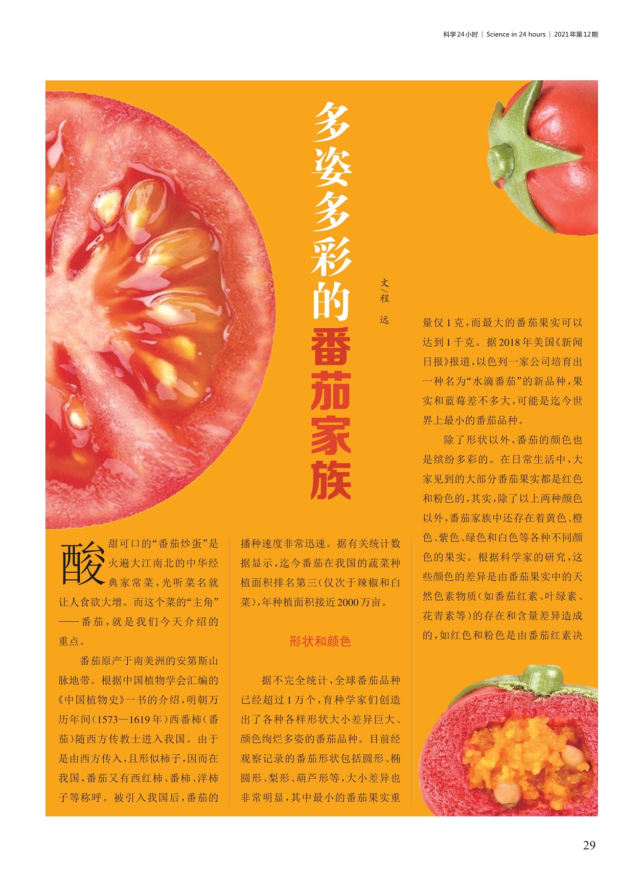 番茄原产于南美洲的安第斯山脉地带,番茄颜色差异是由果实中色素含量导致
