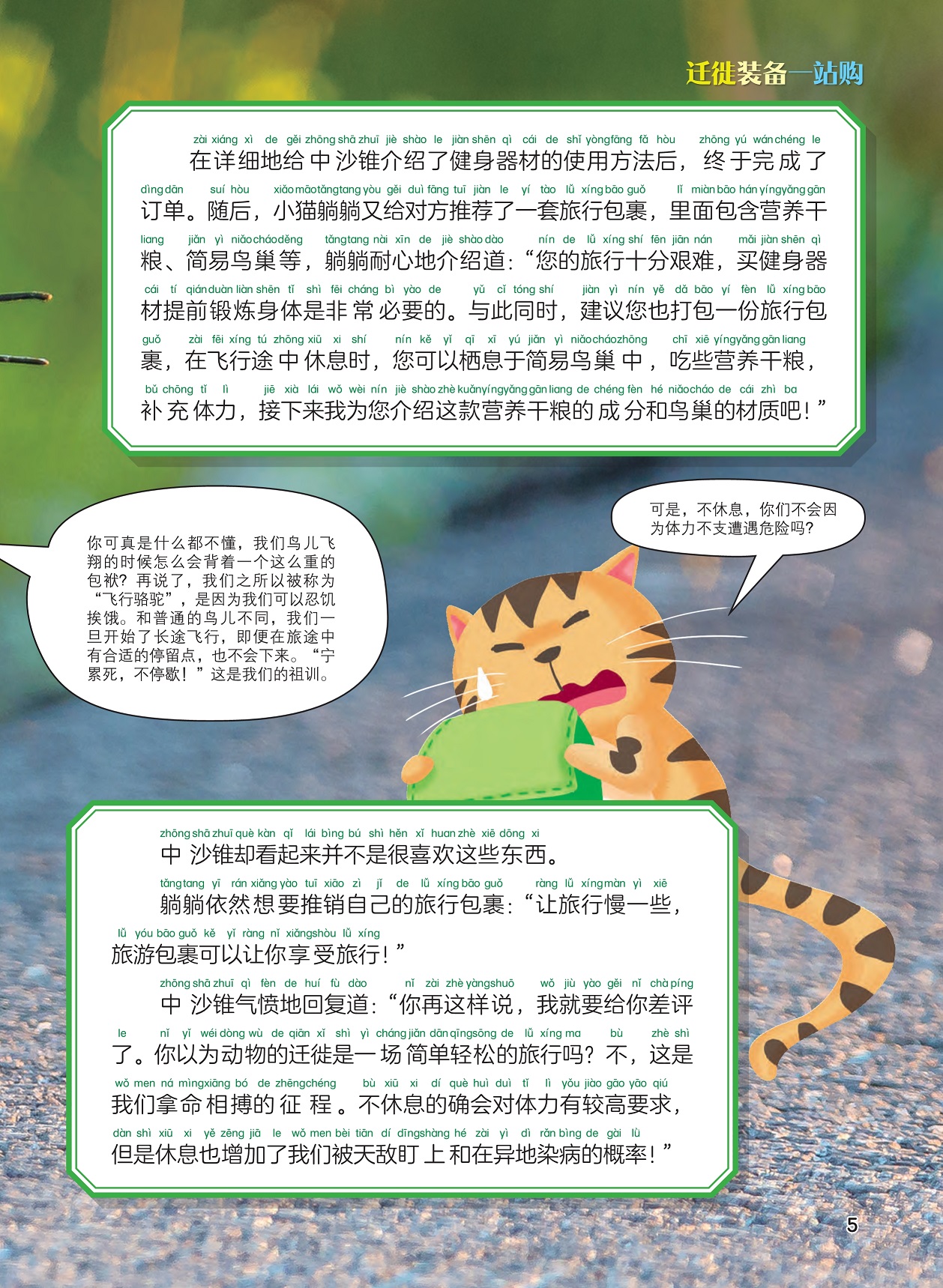 中沙锥可以忍饥挨饿,迁徙是拿命相搏的征程