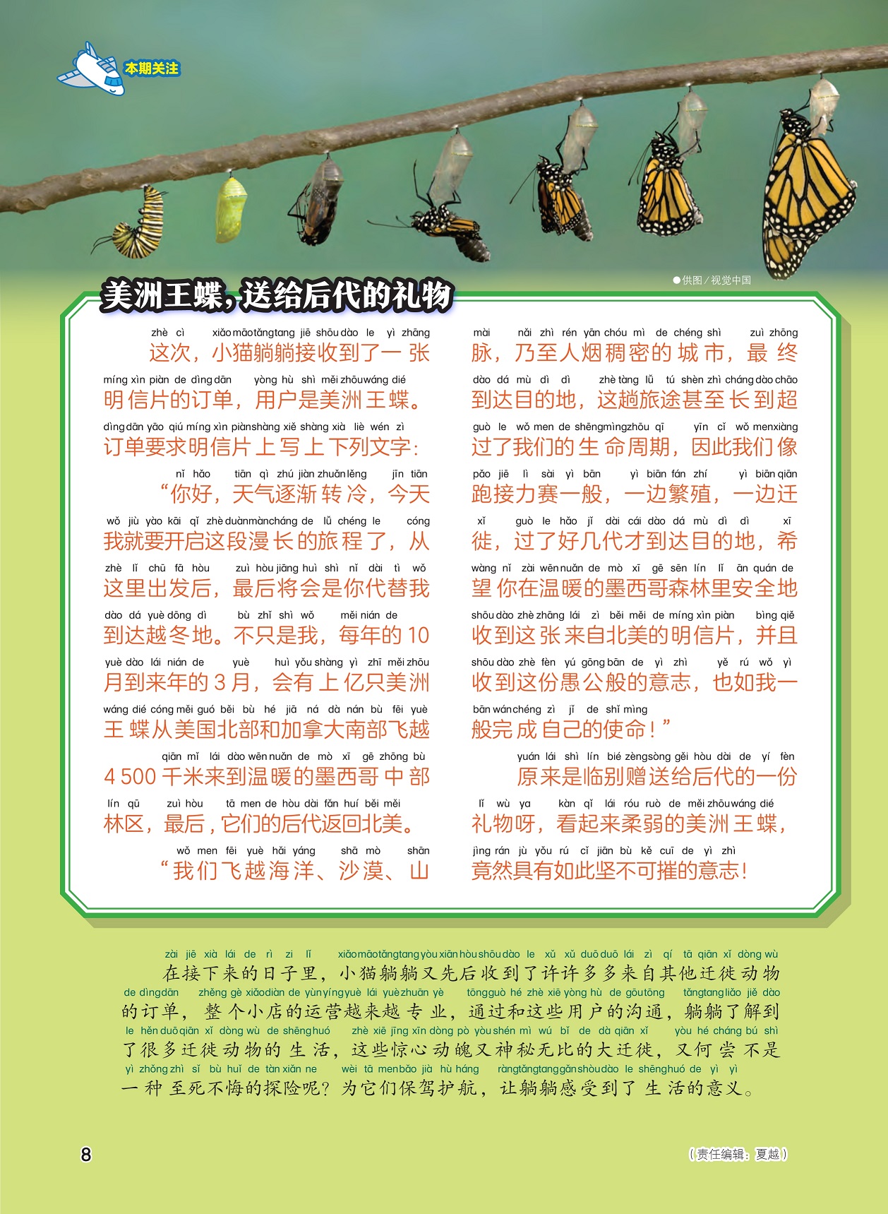 美洲王蝶的订单,了解迁徙动物的生活