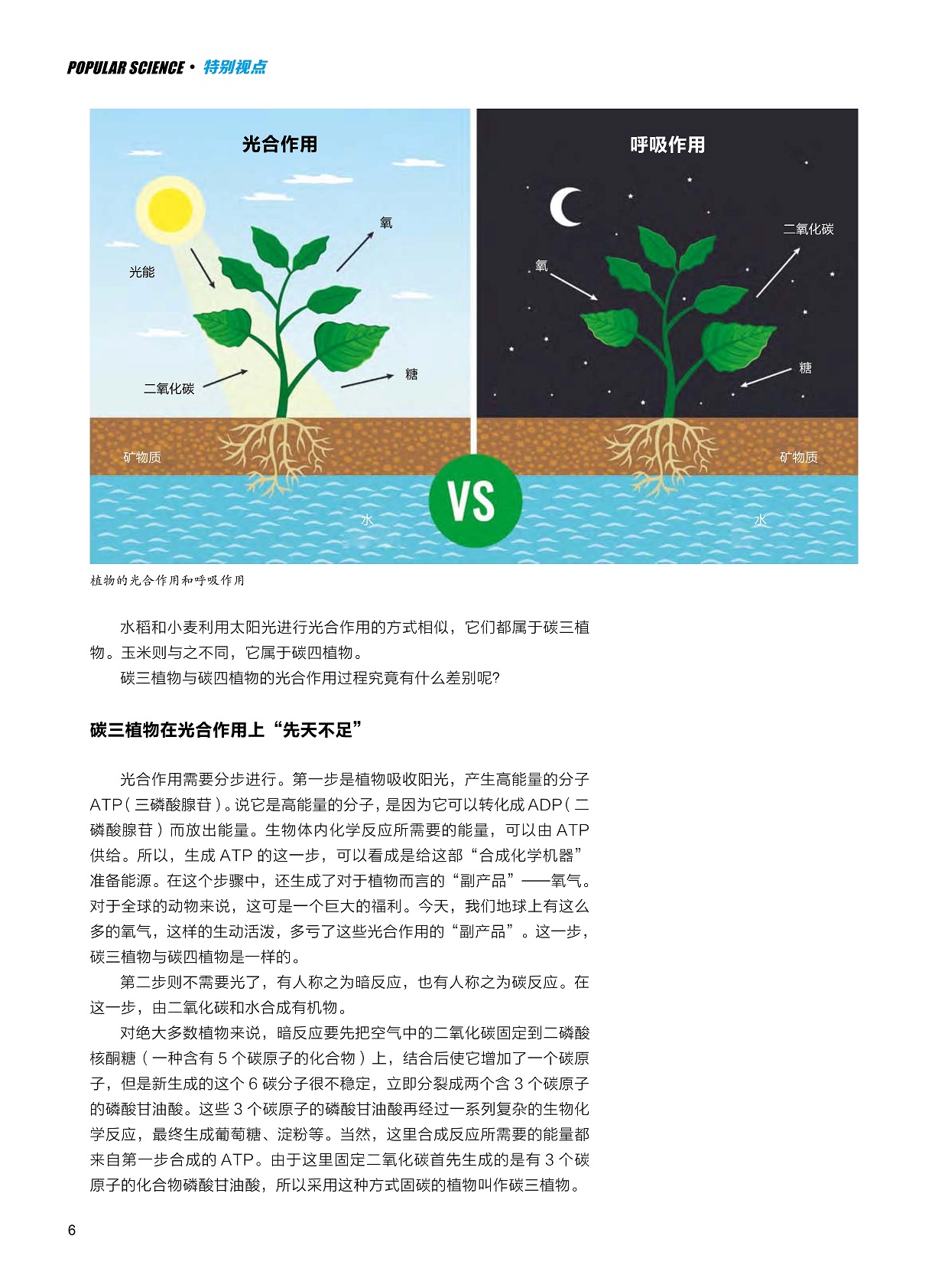 碳三植物在光合作用上“先天不足”,光合作用的“副产品”