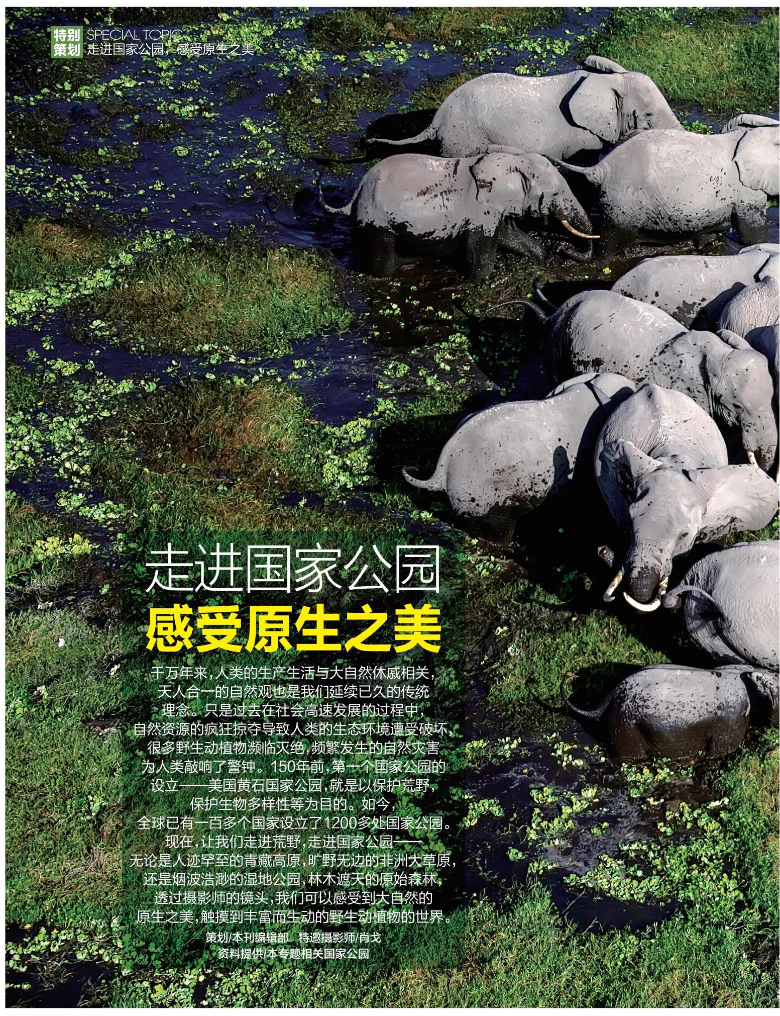 国家公园,自然,原生之美 国家公园,自然,原生之美