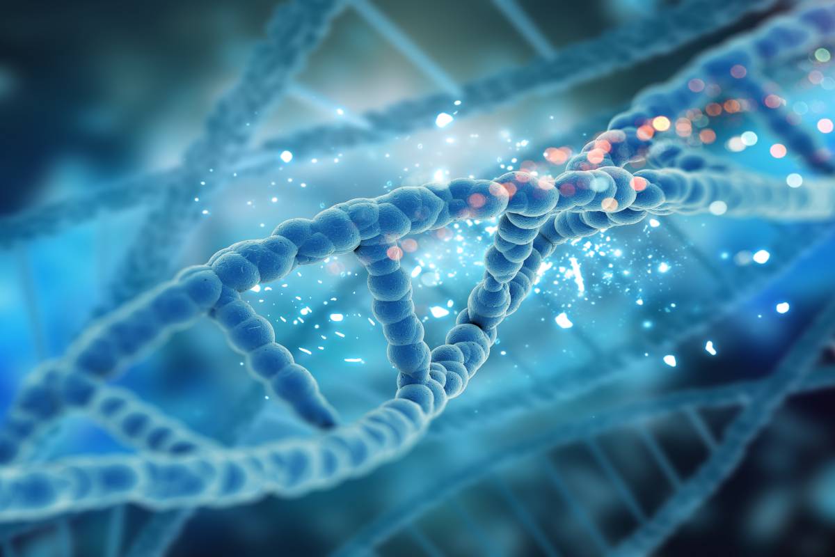 DNA链