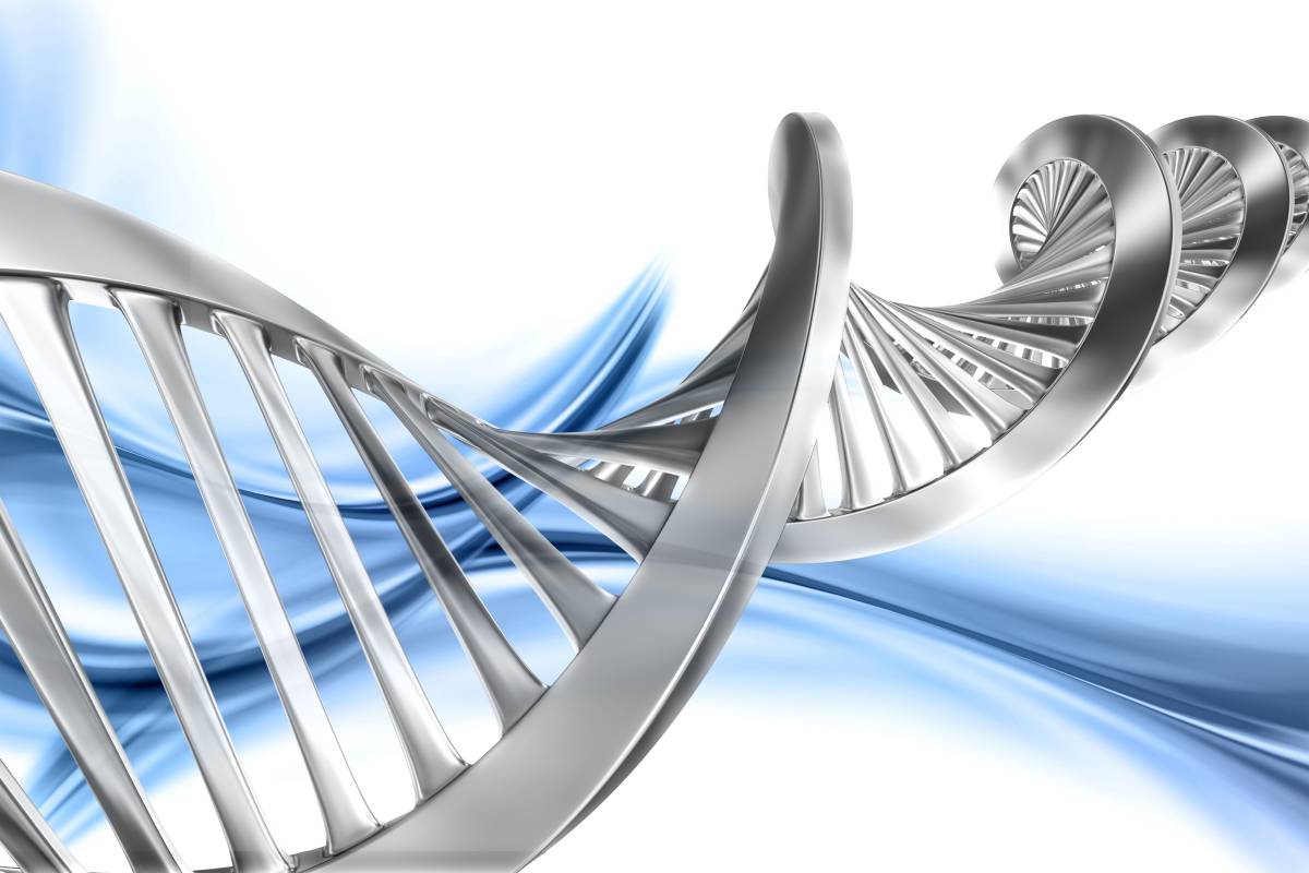 你的过去决定你的未来--中国数字科技馆