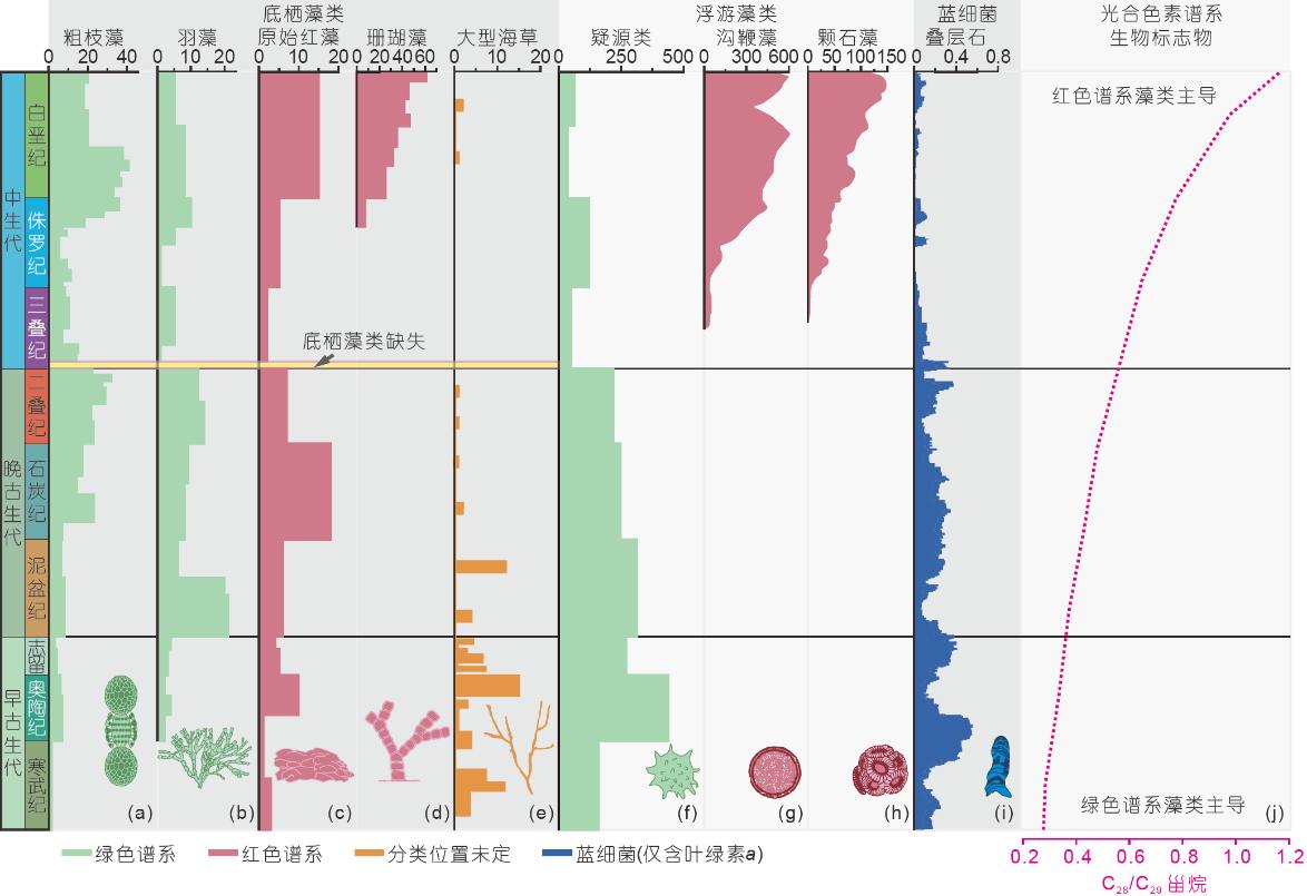 古生代,生产者类群变化,化石记录