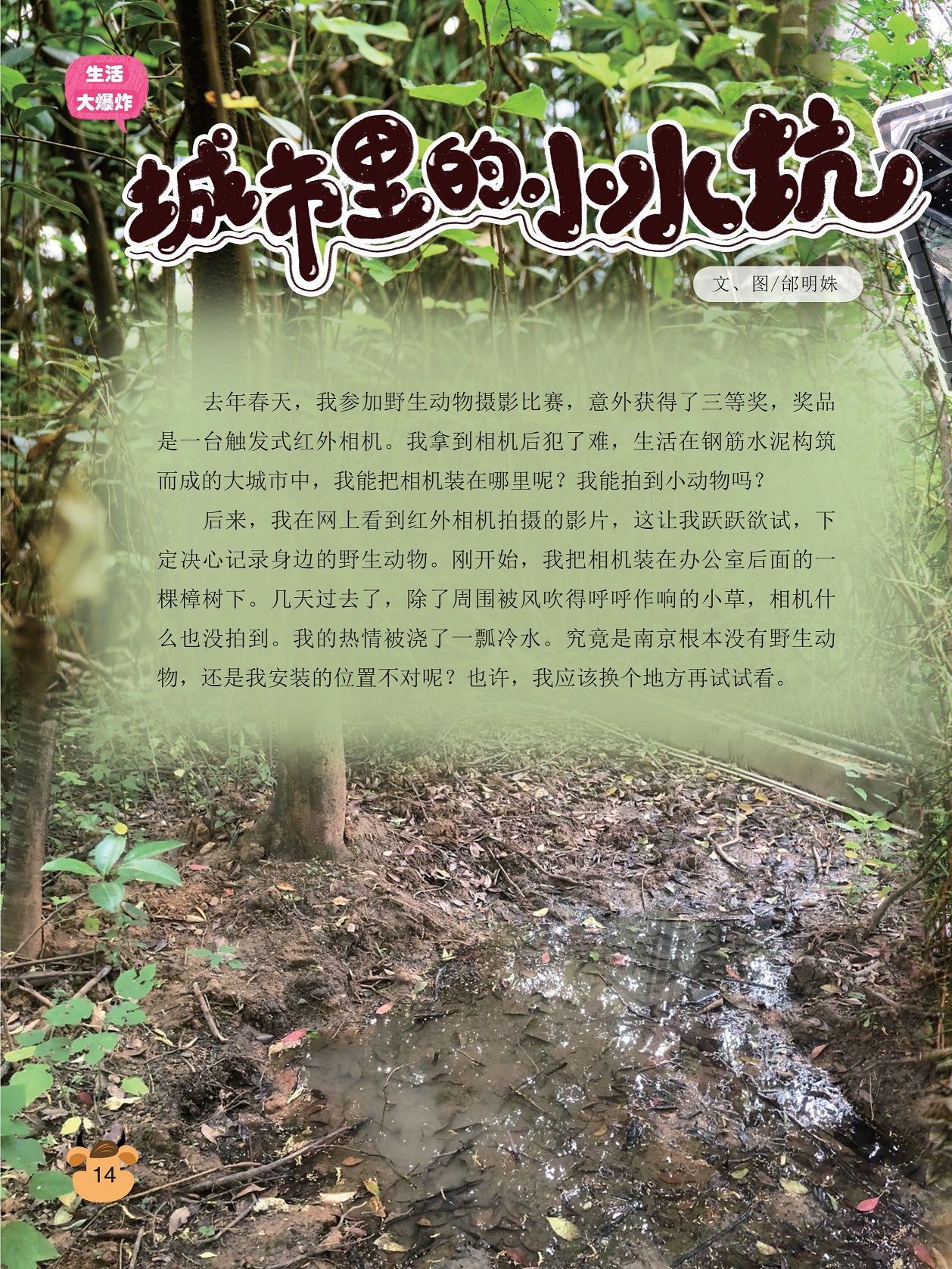 红外相机拍摄的影片,记录身边的野生动物