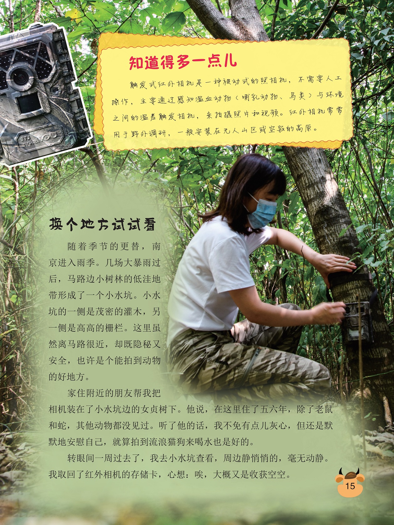 触发式红外相机是一种被动式的照相机,小水坑边的女贞树下