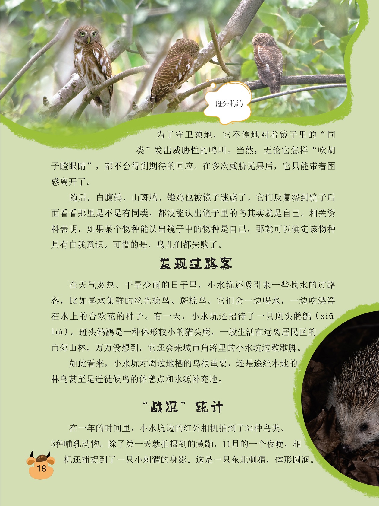 认出镜子中的物种,具有自我意识