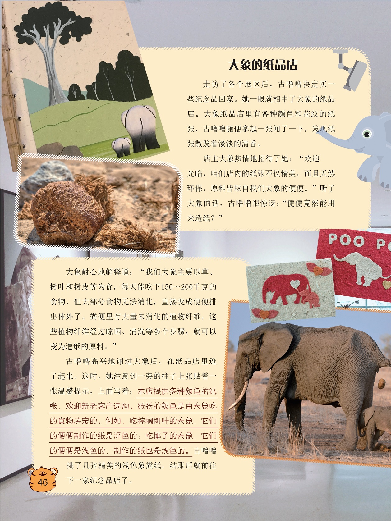 大象粪便里有大量未消化的植物纤维,大象的纸品店