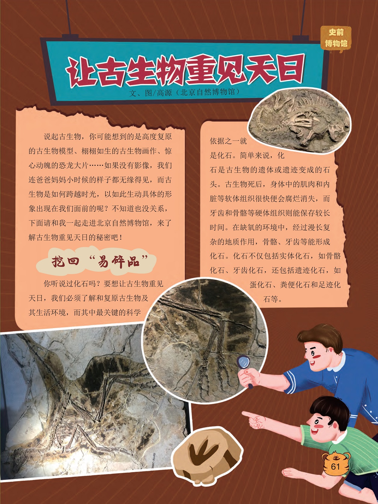 一起走进北京自然博物馆,化石是古生物的遗体或遗迹变成的石头