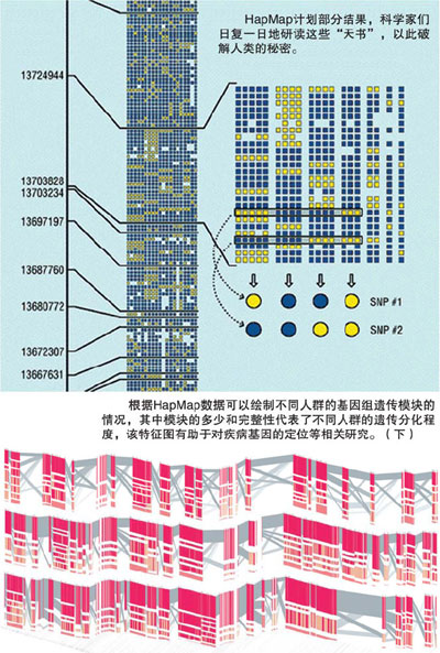 探索我们自身的奥秘——人类基因组计划