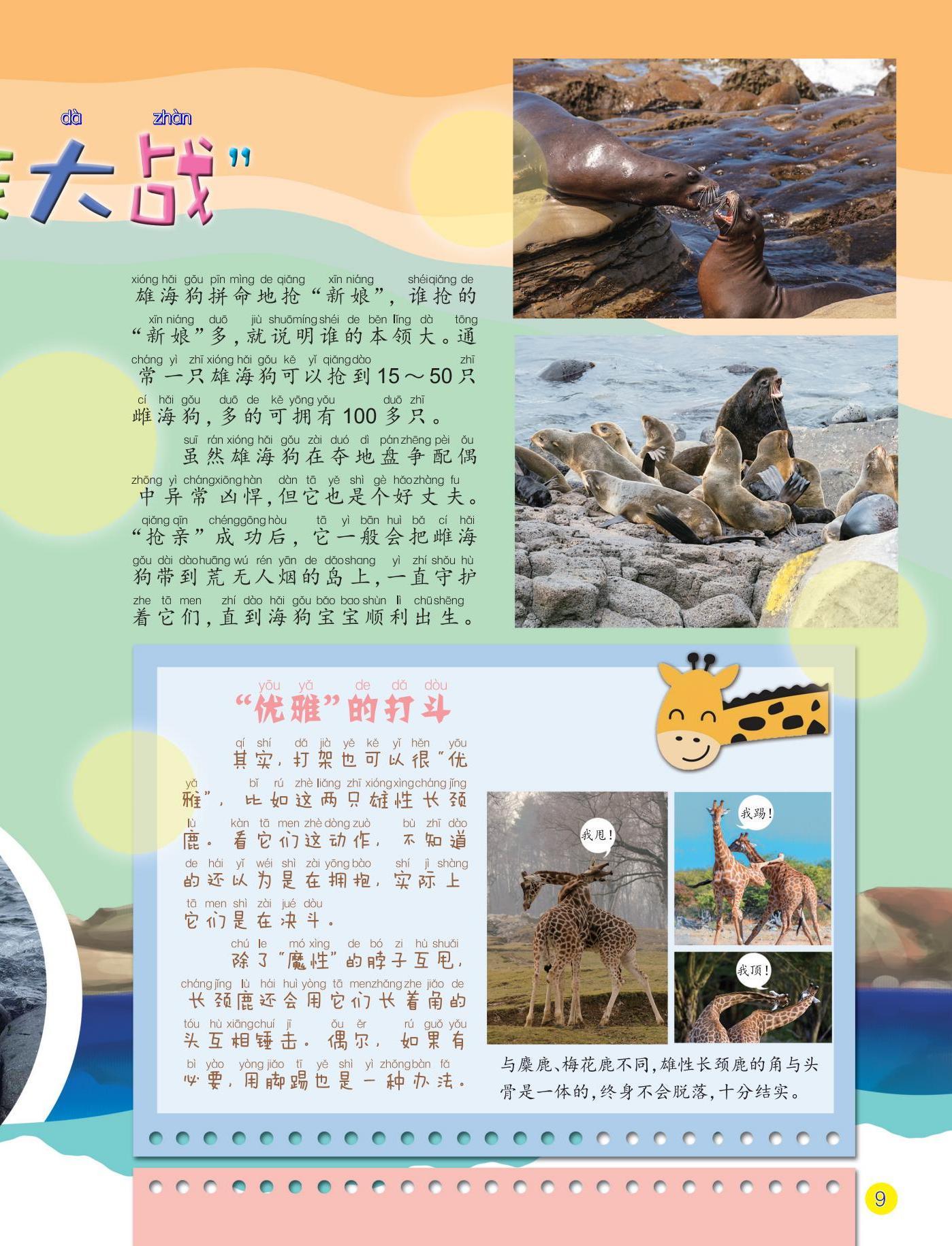新娘,好丈夫,夺地盘 新娘,好丈夫,夺地盘