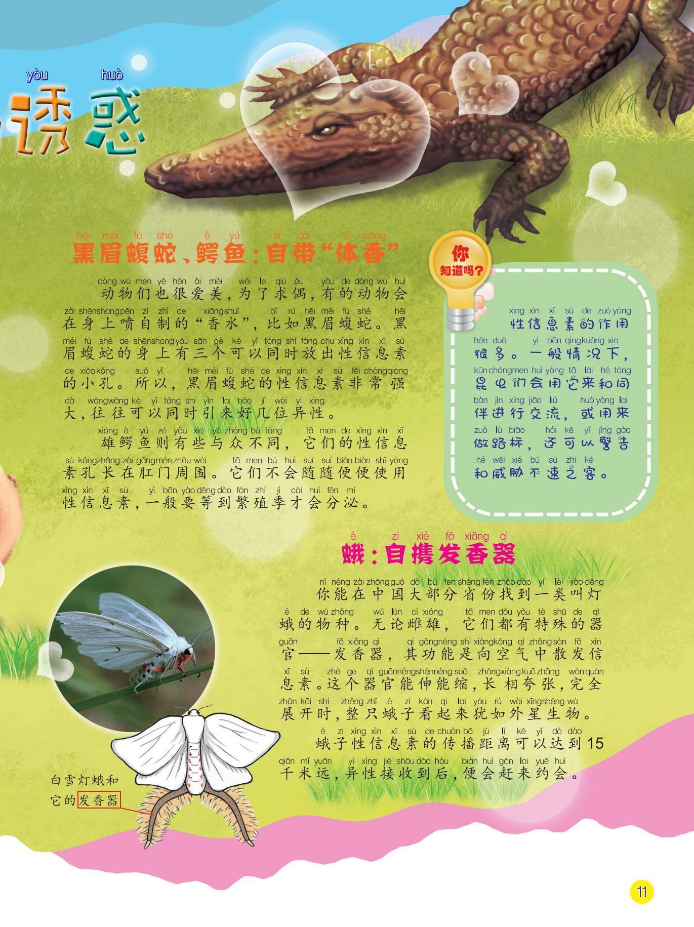 黑眉蝮蛇,鳄鱼,蛾 黑眉蝮蛇,鳄鱼,蛾