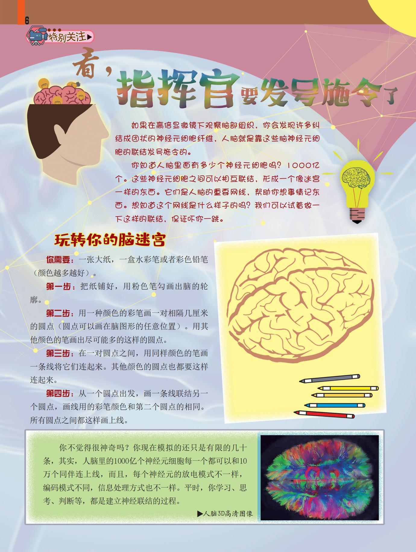 指挥官,发号施令,神经元,学习,思考 指挥官,发号施令,神经元,学习,思考