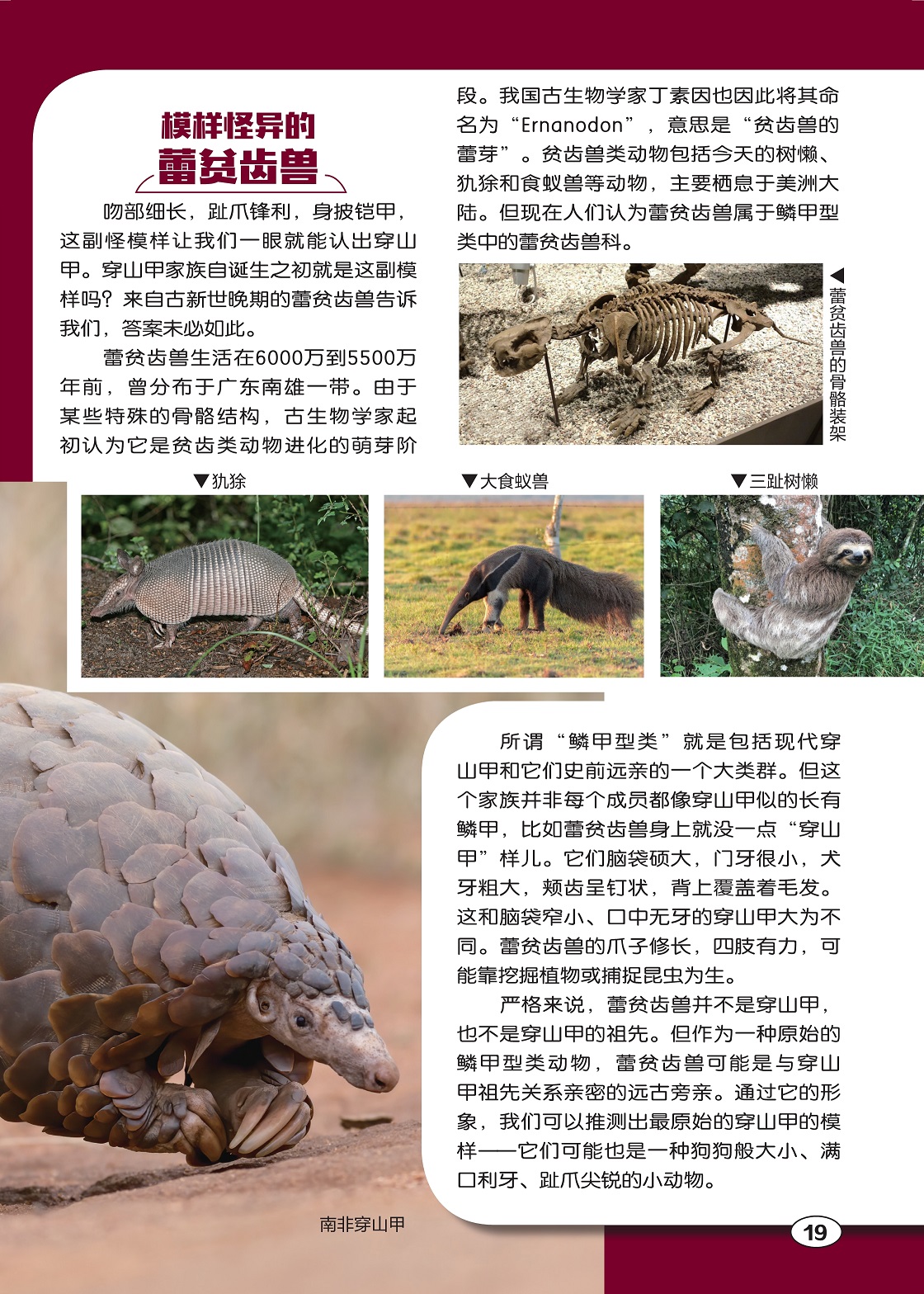 中国积极推动将穿山甲由二级保护野生动物提升至一级 _www.isenlin.cn