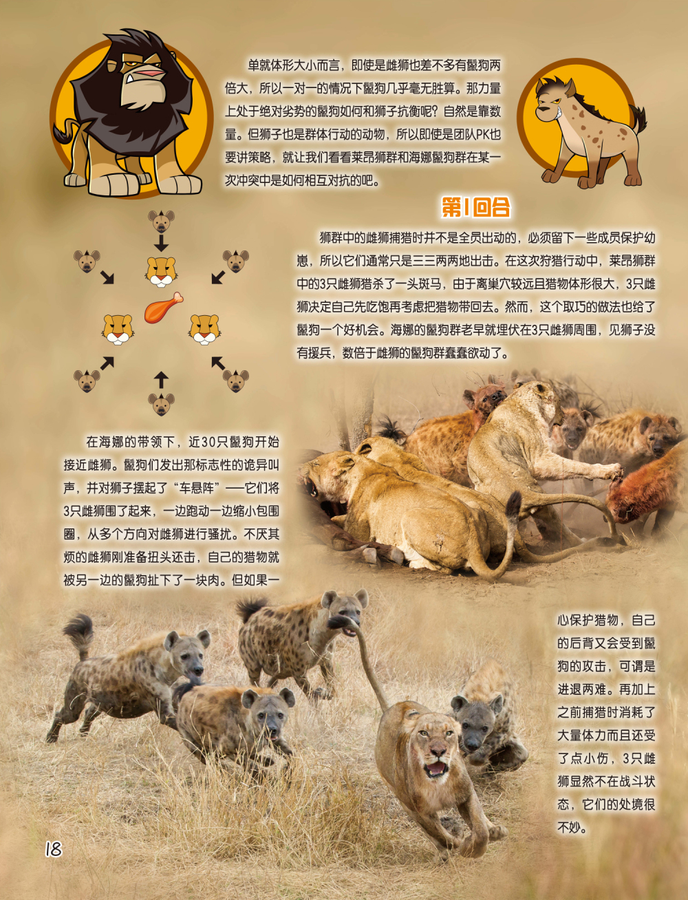 动物大对决之狮子vs鬣狗 中国数字科技馆
