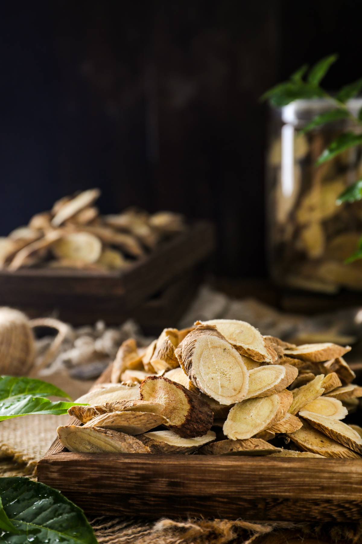 中和湿寒,黄芪薏米茶 中和湿寒,黄芪薏米茶