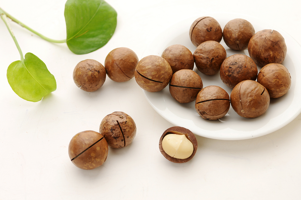 夏威夷果 夏威夷果