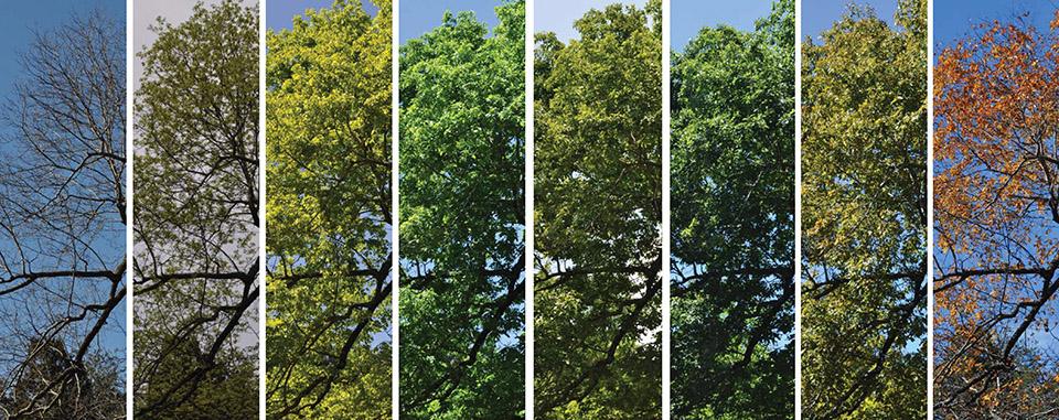 奇妙的物候--中国数字科技馆