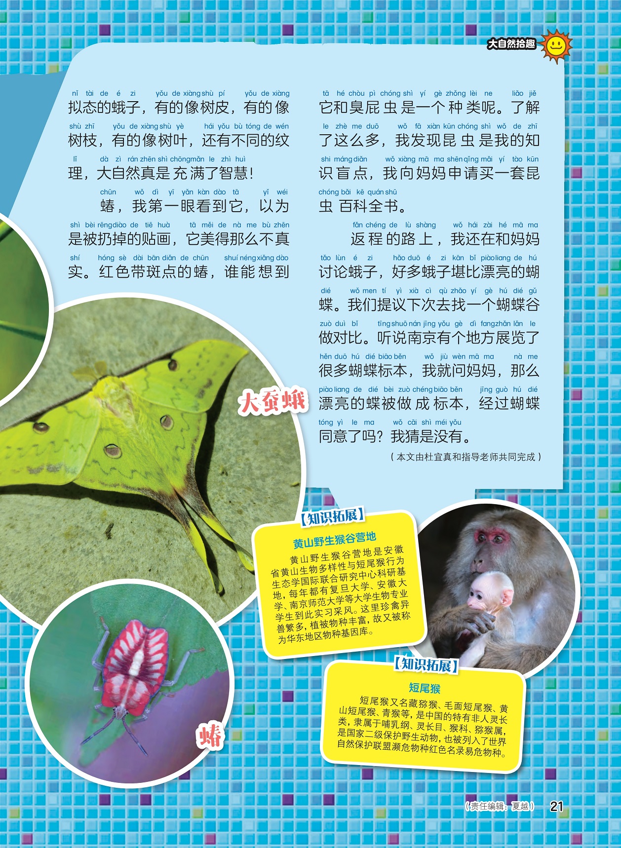 昆虫是知识盲点,南京展览很多蝴蝶标本