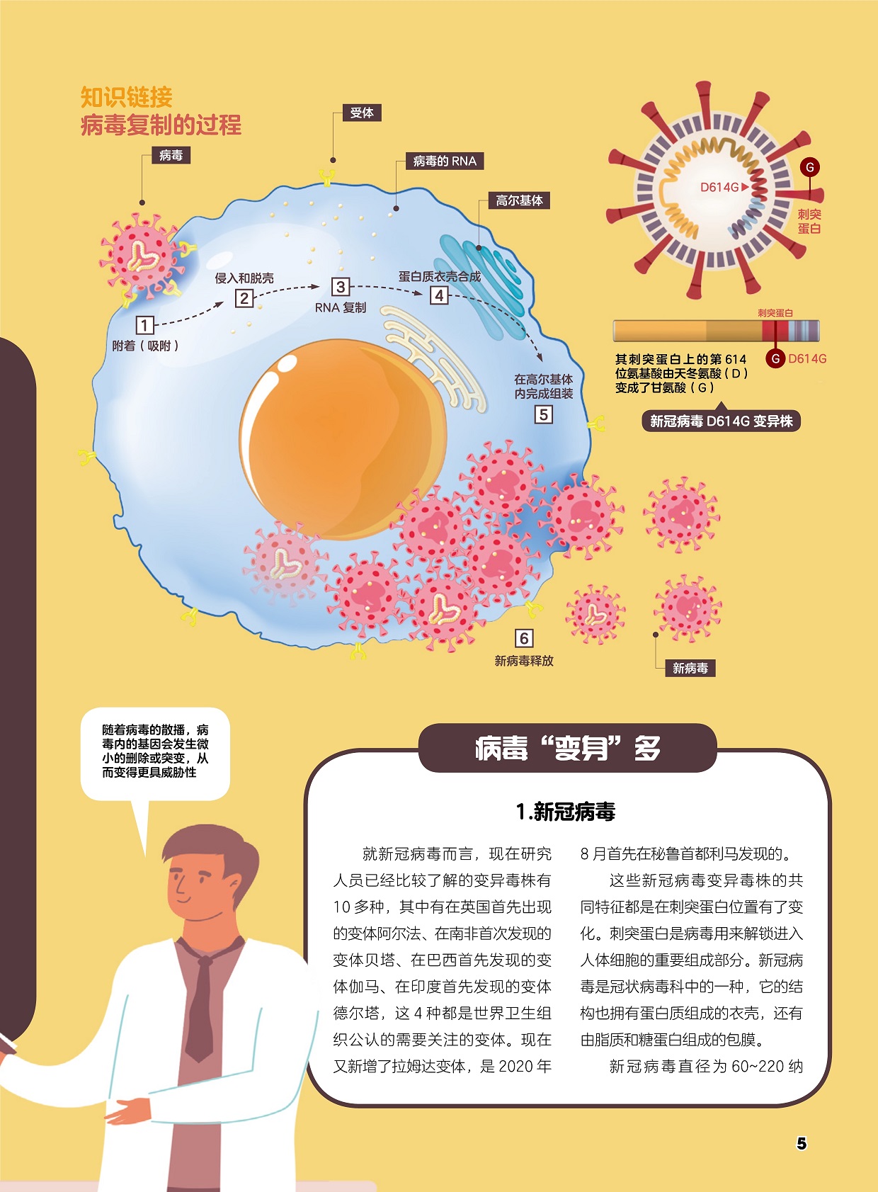 病毒复制的过程,新冠病毒变异毒株