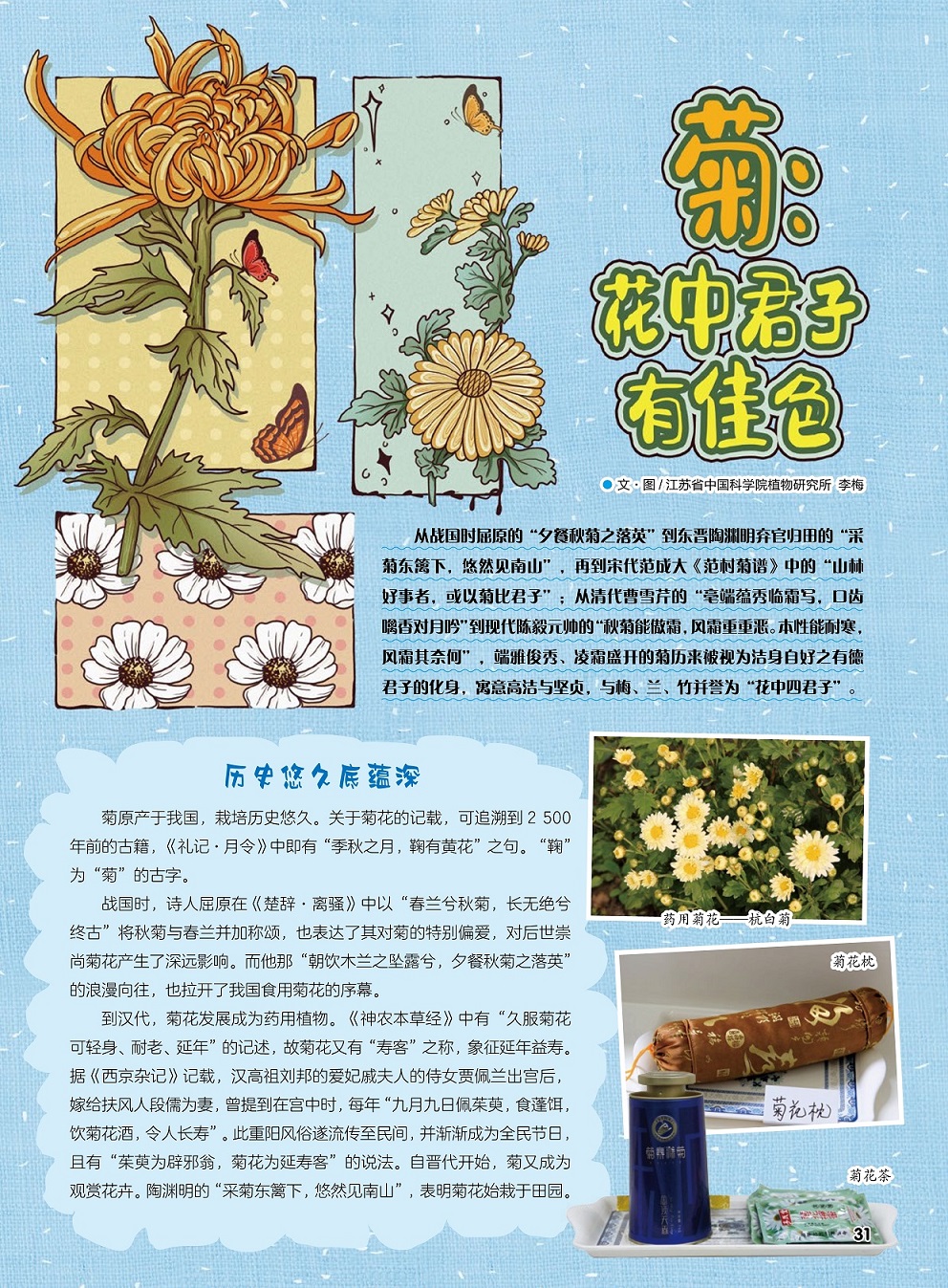 菊原产于我国栽培历史悠久,菊花发展成为药用植物