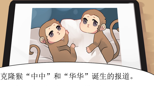 【原创小漫画】克隆猴"中中","华华"诞生!你对克隆技术了解多少?
